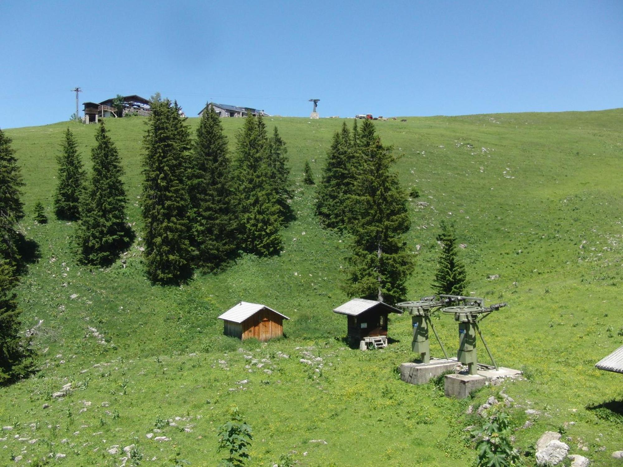 Gaestehaus-Pension Barbara Andelsbuch Dış mekan fotoğraf
